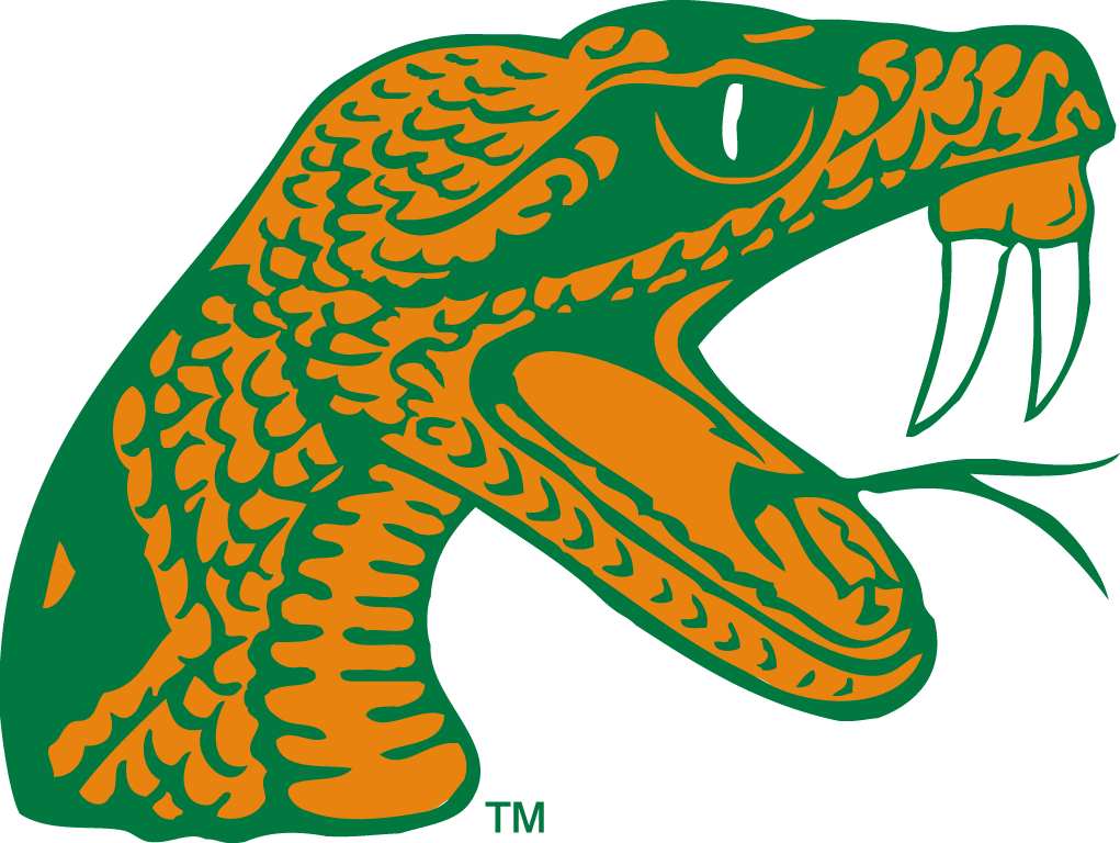 Florida A&M Rattlers 2006-pres alternate logo iron on transfers for clothing